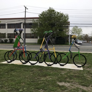 Fundraising Page: Noah Milman